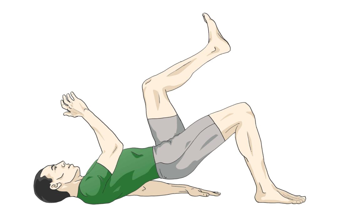exercice du dos 8