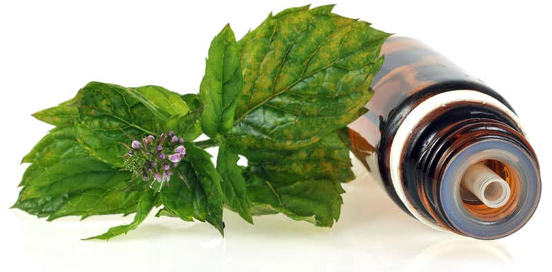 aromatherapie-nord-vaudois
